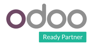 odoo_ready_partner