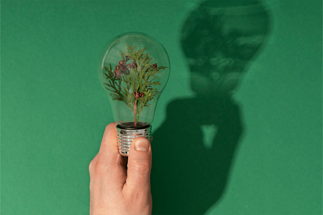 light bulb