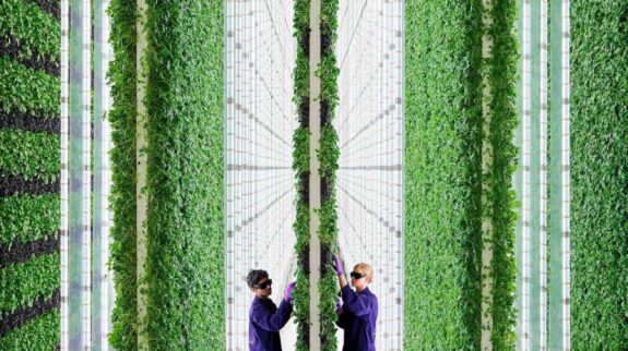 01171252.foto-copertina-vertical-farm-5-aprile-2021 01171252.foto-copertina-vertical-farm-5-aprile-2021