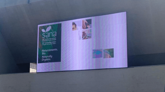 Progetto-senza-titolo-1-1