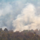 come-catturare-co2 come-catturare-co2