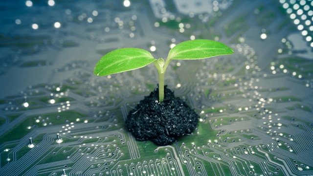 informatica-ecostostenibile-riduce-impatto-ambientale-e-consumo-energetico