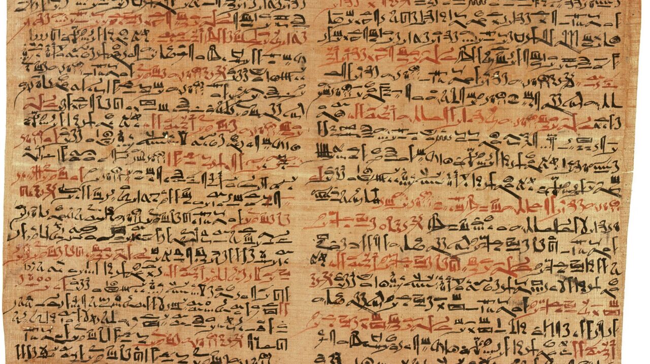papyrus-ga0aa034a4_1920
