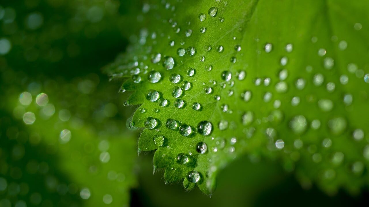 water-1453071_1280